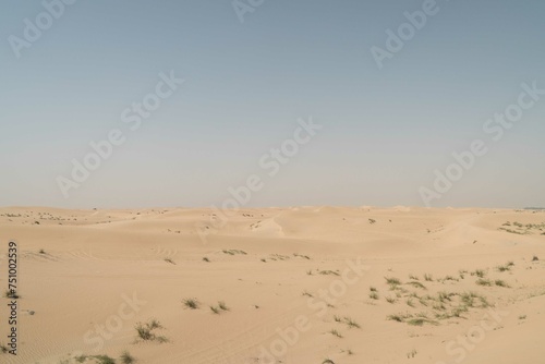 Desert landscape against blue sky