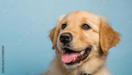 portrait of a happy goldne retriever dog puppy on a light blue background with space for text