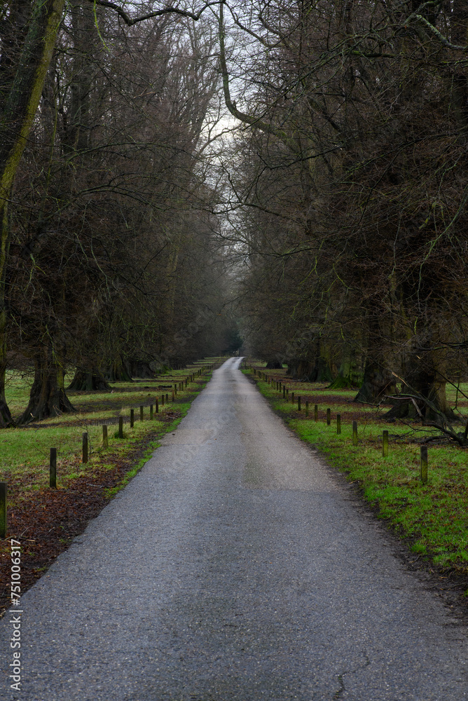 Tree lined driveway at Calke Abbey entrance UK