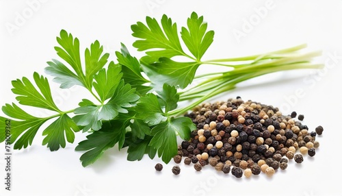 mediterranean herbs and spices set of fresh healthy parsley leaves twigs and a small bunch isolated over a transparent background cooking food or diet design elements png photo