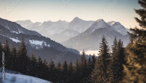 mountain landscape with spruce and pine trees in the austrian alps during a bright sunny day in winter time distant mountains and mountain chains fade out with lighter color tones © Raymond