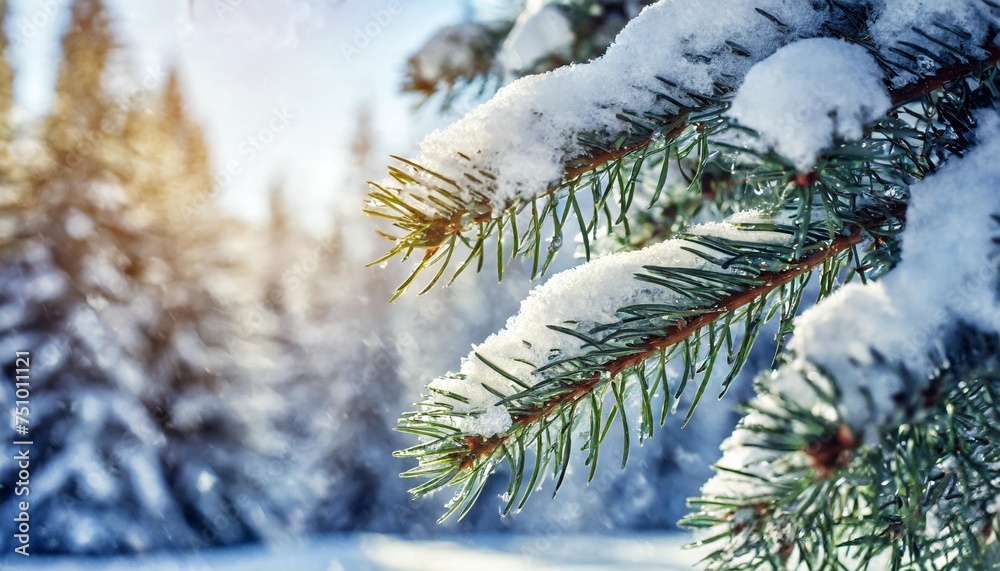 christmas snowy fir tree branches close up winter christmas and winter concept with copy space