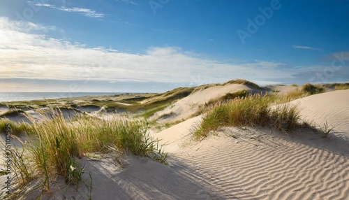 sand dunes and grass