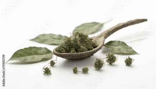 tinospora cordifolia herb isolated on white background photo