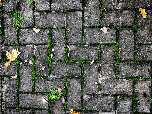 stone ground background
