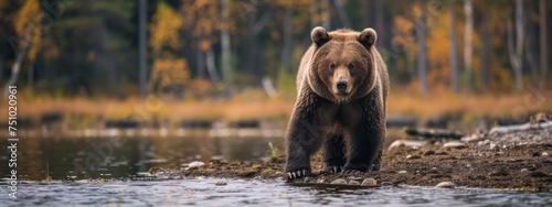 a brown bear is standing by the water Generative AI