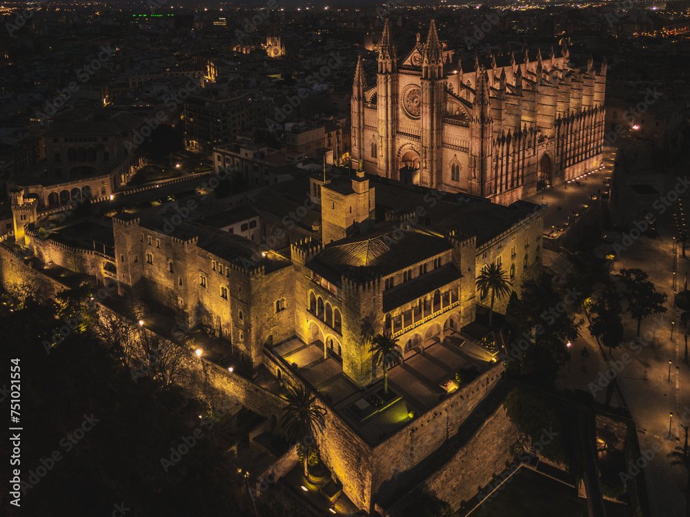 Night aerial drone photo of Cathedral de Mallorca