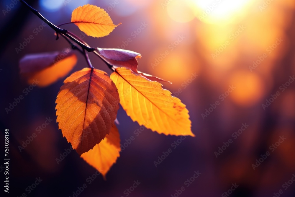 a close up of leaves on a branch a close up of leaves on a branch