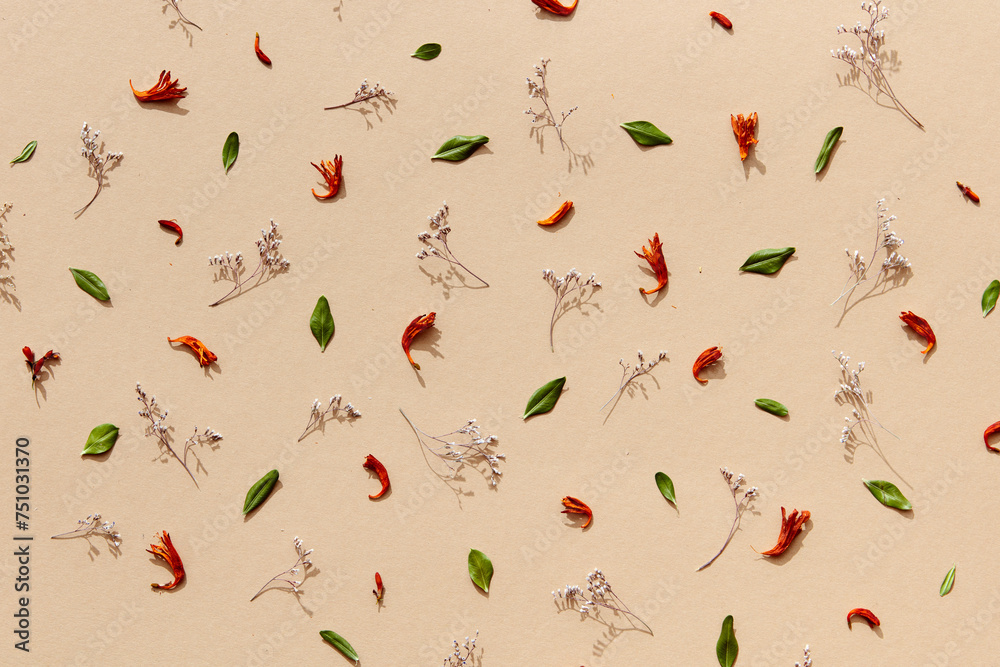 Autumn pattern with dried flowers, red petals and green leaves Autumn pattern with dried flowers, red petals and green leaves