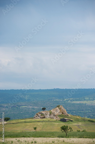 landscape with sky, green field and flowers Logudoro meilogu, nuraghe valley, Sardinia, Italy photo