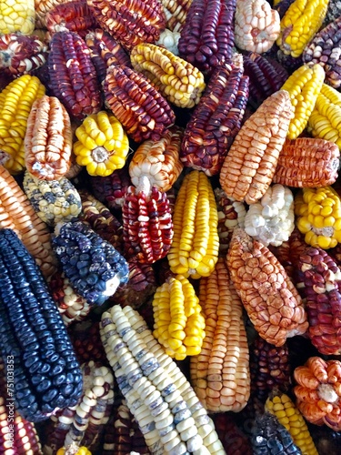 Corn from Peru photo