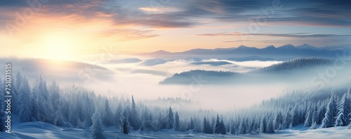 Amazing mystical rising fog sky forest snow snowy trees landscape snowscape in black forest
