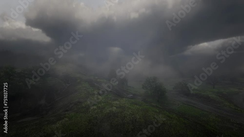 Grass land rain fog trees