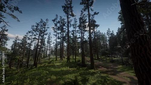 Pan view of forest trees