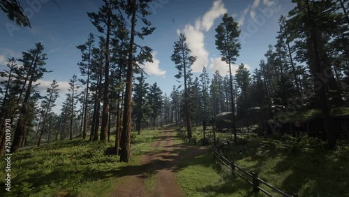 Cloudy forest real time sunny