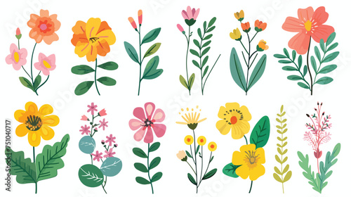 Floral set different flowers with leaves flat vector