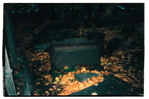 spooky cemetery in forest
 photo