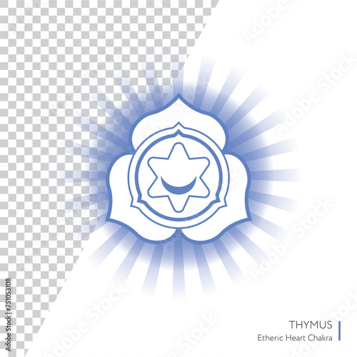 Thymus - primary chakra, vector hand drawn illustration - for yoga studio. Symbol used in Hinduism, Buddhism and Ayurveda - alternative medicine. Pituitary gland in human body. (ID: 751053108)