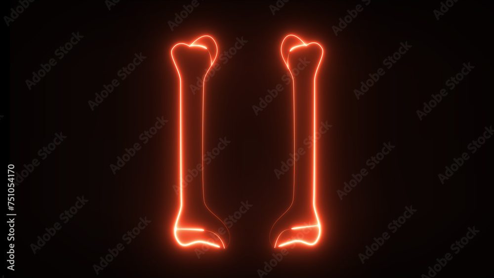 These are femur and parts of lower extremity. Femur is the longest bone