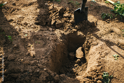 Field soil test photo