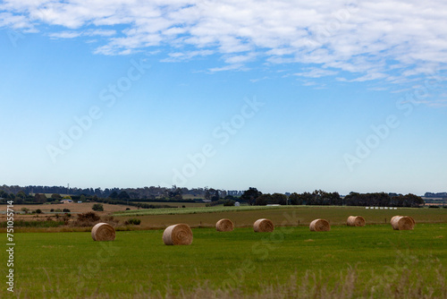 Landscape Scenery on The Heritage Highway, Tasmania