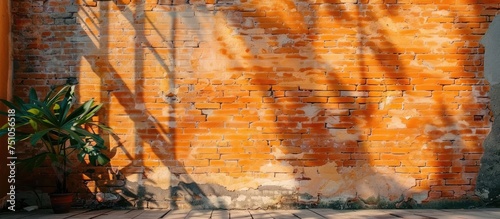 A brick wall stands in the background, displaying a vintage rusty metal texture. In front of the wall, a green plant grows, adding a touch of nature to the urban setting.
