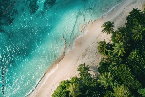 Exotic beach with crystal blue waters - Beautiful top-down shot of crystal blue waters bordered by an exotic beach and lush palm trees on a sunny day