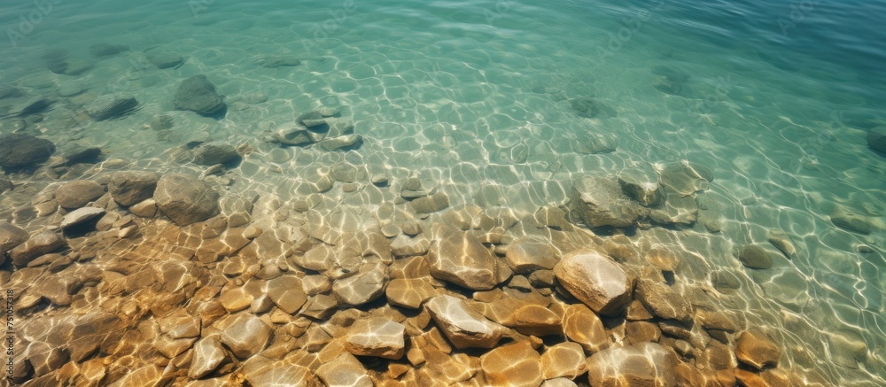 A body of water with visible rocks scattered across the lake bed. The rocks vary in size and shape, creating a textured and rugged appearance in the clear water.