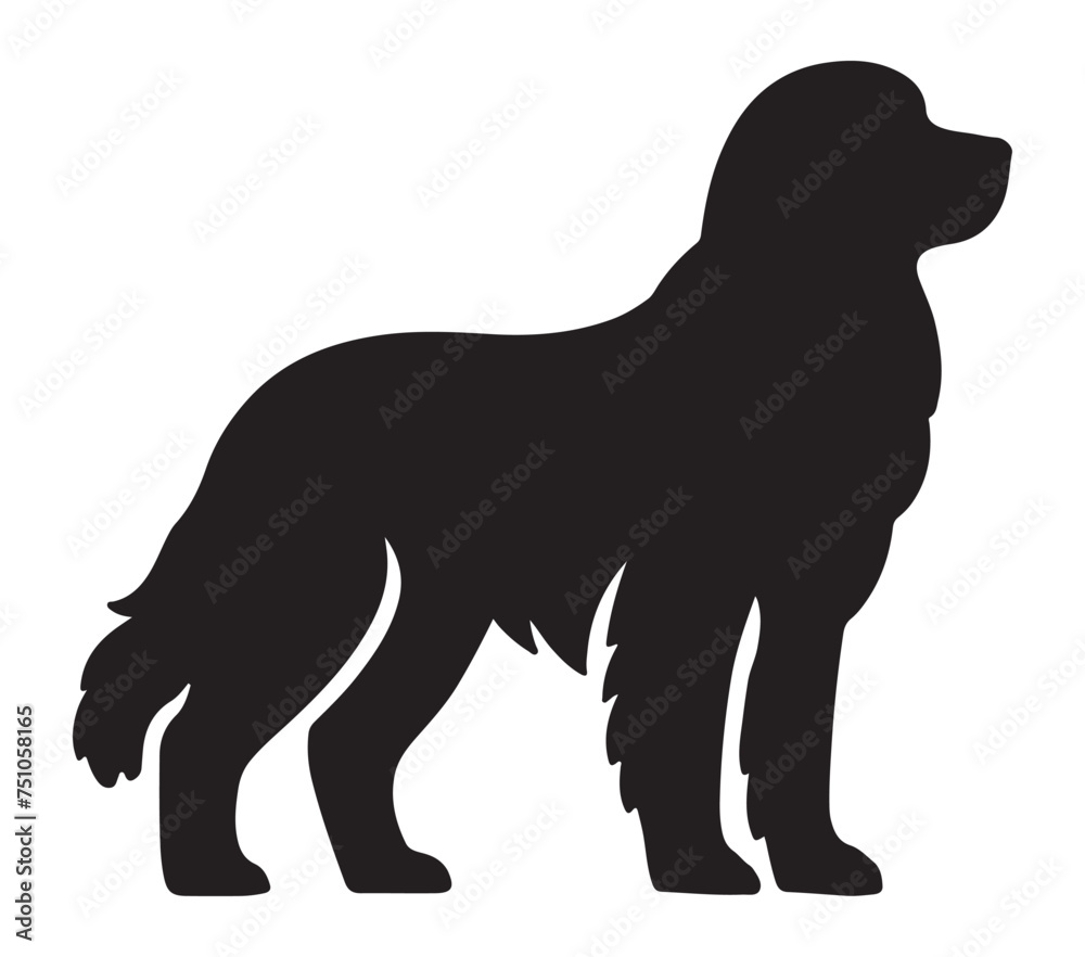 Vector, isolated silhouette of Akbash Dog.