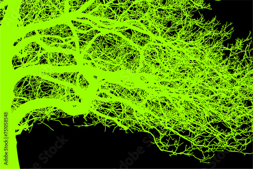 ramas, arboles, siluetas, vegetacion, roble, bosque, paisaje, vector, hojas, abstracto, sauce, tronco, malesa, pegatina