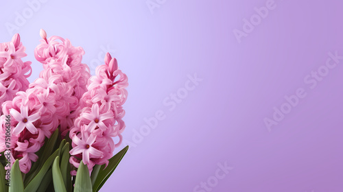 Floral background, spring concept