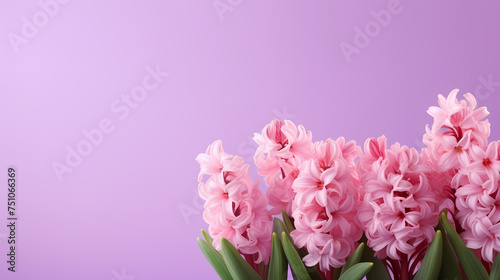 Floral background  spring concept