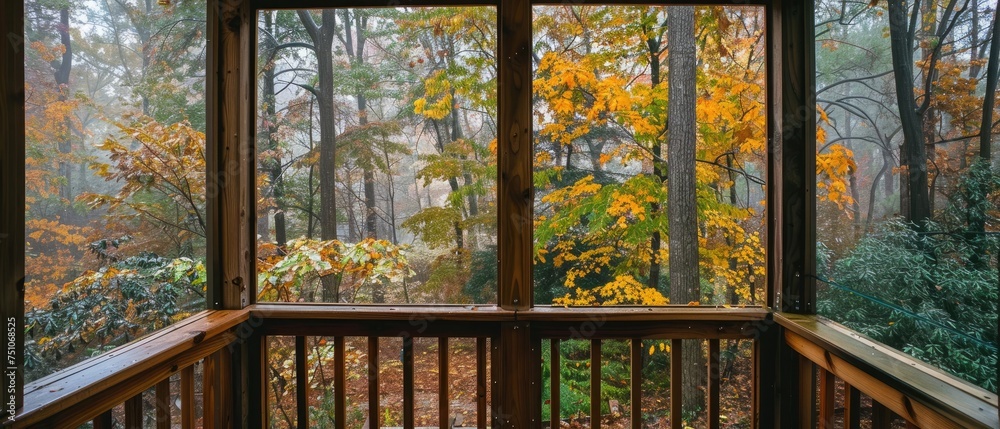 Cozy screened porch in early morning, rain drops on window and autumn leaves and woods in the background.