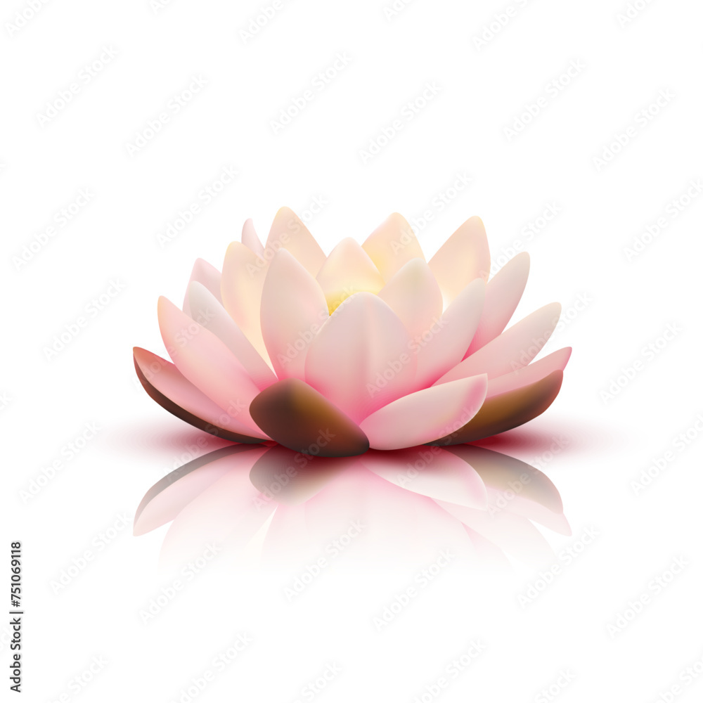 3D illustrative lotus flower with reflection