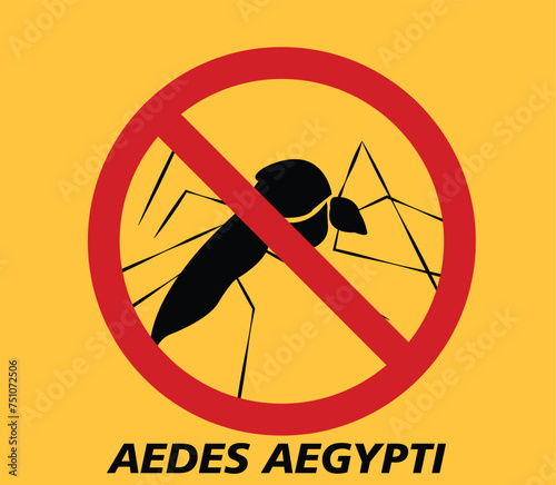 AEDES AEGYPTI MOSQUITO