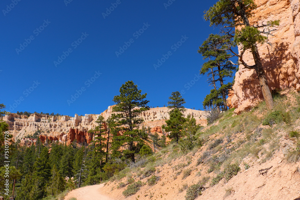 Scenic views from Queens Garden Trail at Bryce Canyon National Park.