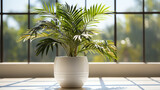 A decorative potted palm plant exuding serenity against room window background