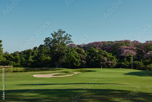 Playing Golf photo