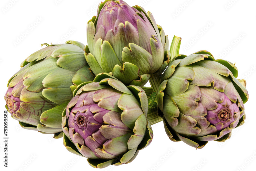 Fresh artichokes. Artichoke ingredients isolated on transparent background. Fresh artichokes. Artichoke ingredients isolated on transparent background.