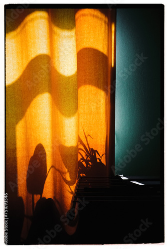 Shadows on the yellow curtain  photo