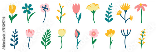 set of colored Spring Flowers elements. Flowering plants. Gift for the holiday Wedding birthday Valentine's day International Women's Day. Decoration for home and garden. background