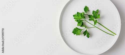A white plate is adorned with fresh green leaves, specifically parsley, against a clean white background. The vibrant green of the leaves contrasts with the purity of the plate and background