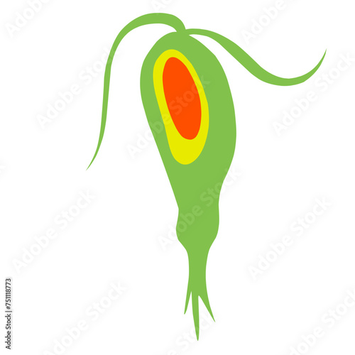 Copepod Microorganism Cartoon