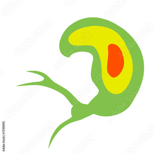 Copepod Microorganism Cartoon