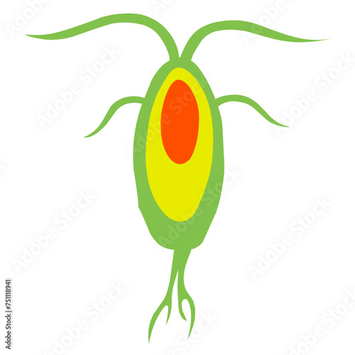 Copepod Microorganism Cartoon