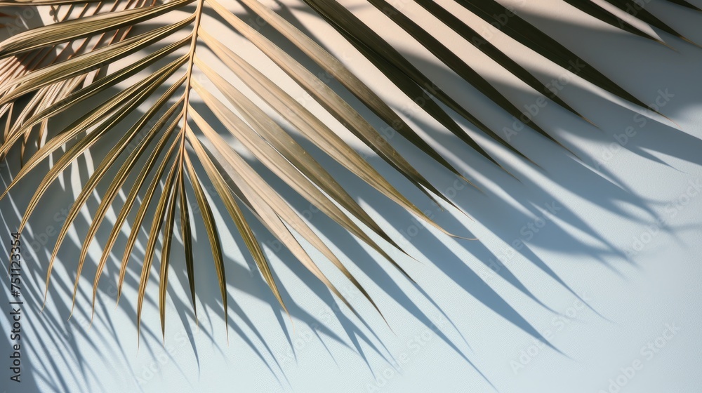 Obraz premium Palm tree with tropical leaves on a blue background with a place to copy text, sunlight on green tropical leaves and shadows. The concept of recreation, tourism, and sea travel.