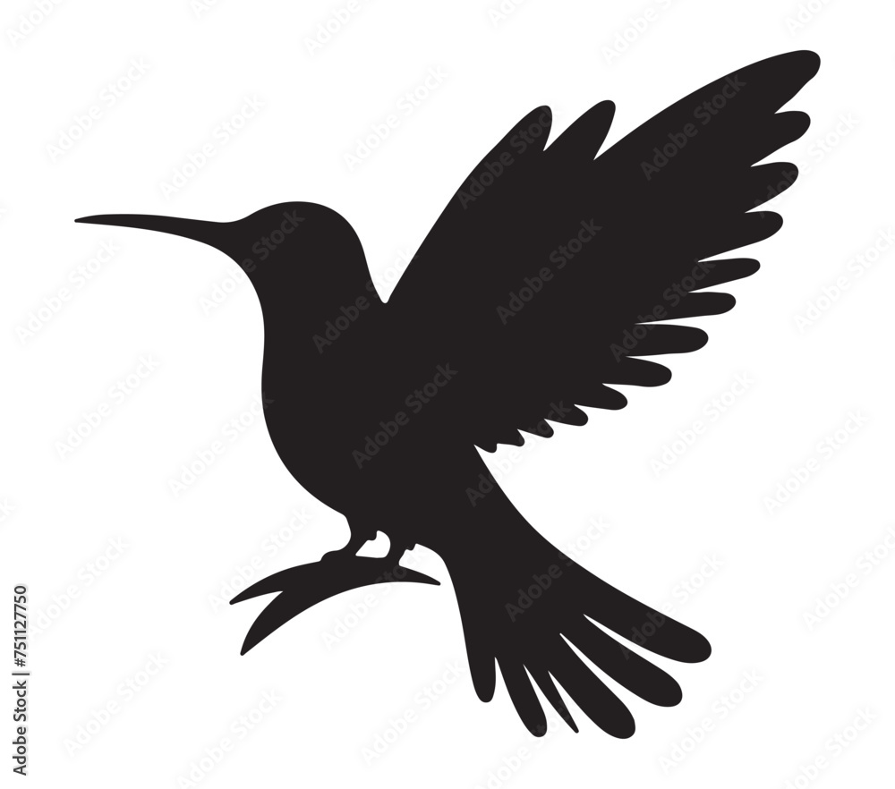Obraz premium Vector, isolated silhouette of Allens Hummingbird.