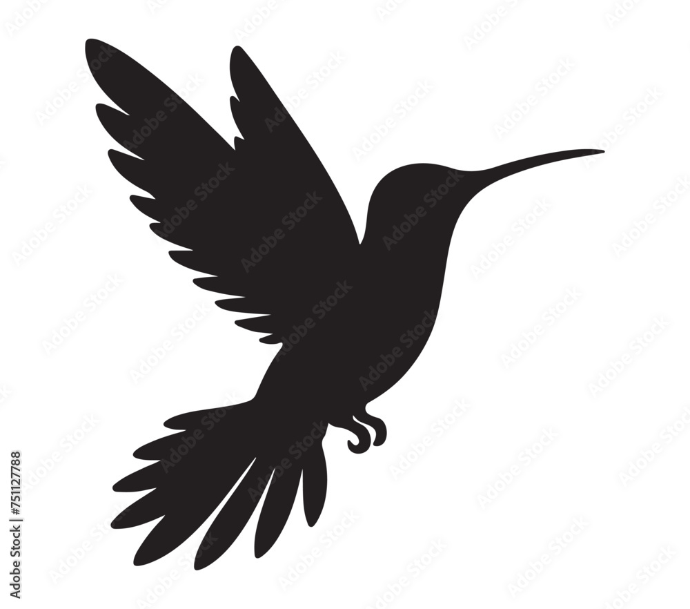 Fototapeta premium Vector graphic of Allens Hummingbird.