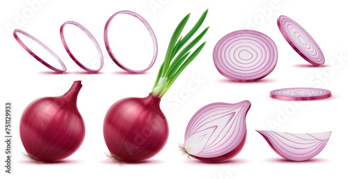 Realistic raw red onion, isolated slice and ring, whole and half vegetable, vector 3d food. Ripe bulb of red or purple onion with fresh green leaves and roots, spicy vegetable, healthy food condiment