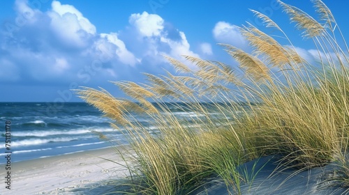 Coastal grasses swaying in the breeze, harmonizing with the azure sky and the gentle rhythm of lapping waves.